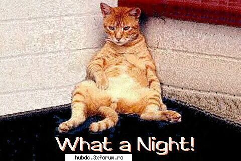Imagini traznite - lorelay - Funny stuff ... come and laugh